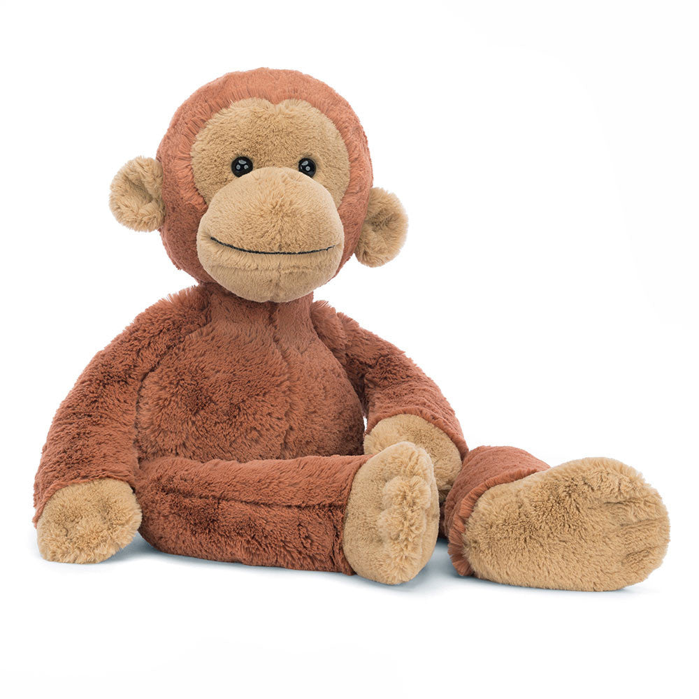 Pongo Orangutan