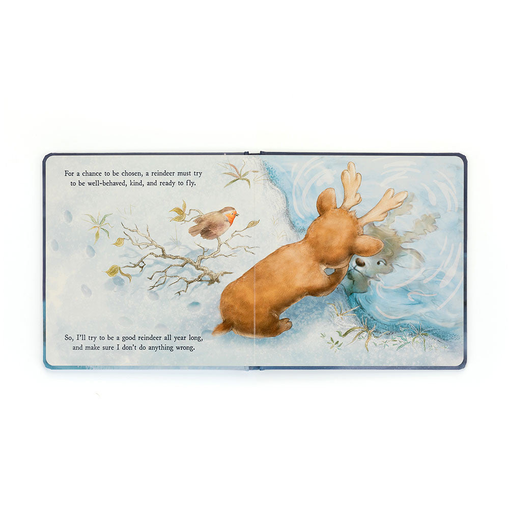 Mitzi Reindeer's Dream Book And Mitzi Reindeer Medium